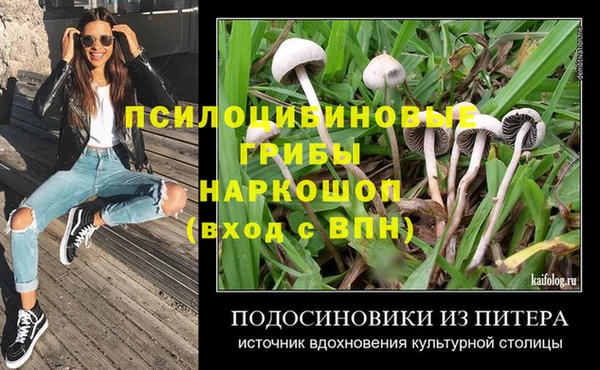 дживик Армянск