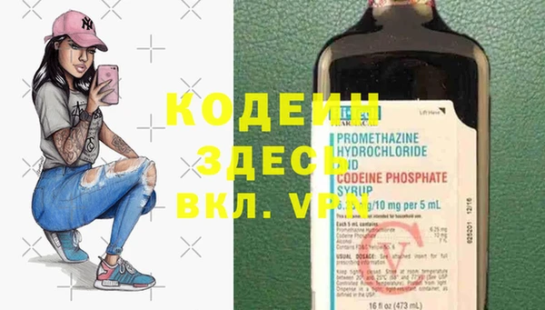 прущие грибы Арсеньев