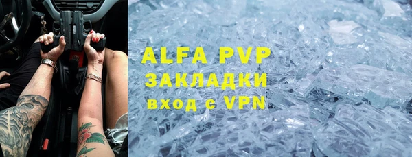 прущие грибы Арсеньев