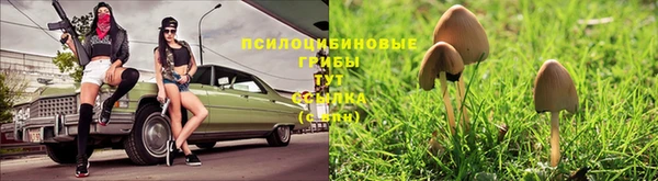 шишки Балахна
