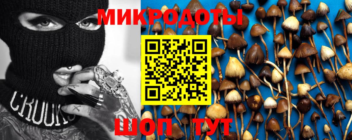 Галлюциногенные грибы MAGIC MUSHROOMS Баксан