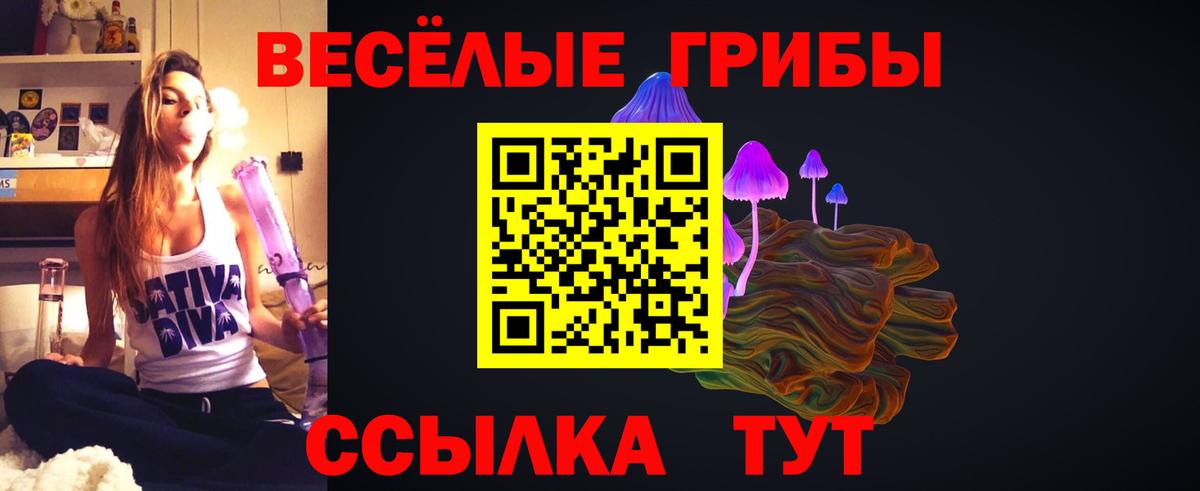 Галлюциногенные грибы MAGIC MUSHROOMS  Вход с VPN  Баксан  Псилоцибиновые грибы мицелий 